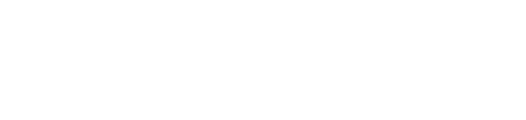 Auto B.F. Gadelha